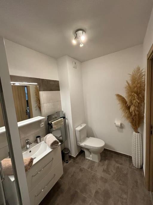 Jolie Appartement En Residence Bastia  Kültér fotó